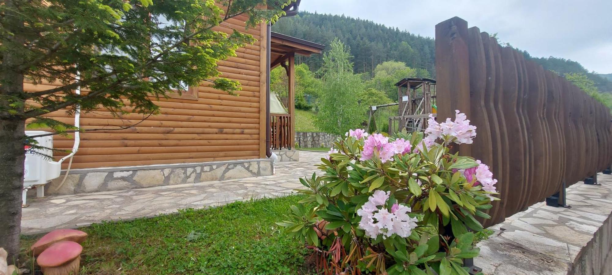 Mini Complex Rilski Terasi Saparewa Banja Exterior foto