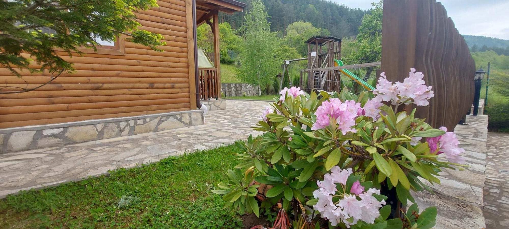 Mini Complex Rilski Terasi Saparewa Banja Exterior foto