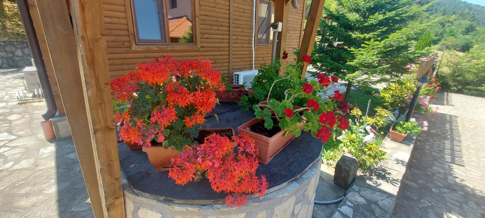 Mini Complex Rilski Terasi Saparewa Banja Exterior foto