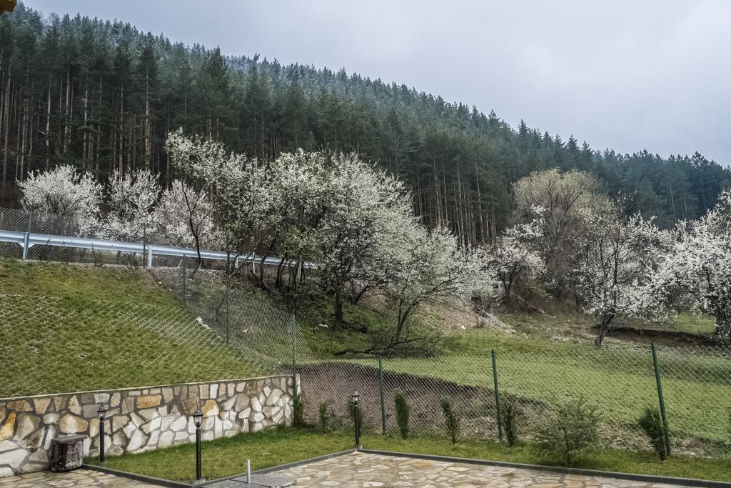 Mini Complex Rilski Terasi Saparewa Banja Exterior foto